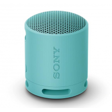 Sony SRS-XB100 